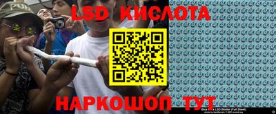 крисы Кимры