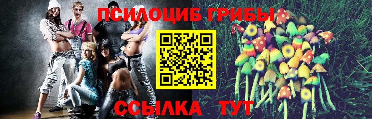 Галлюциногенные грибы мицелий Краснознаменск